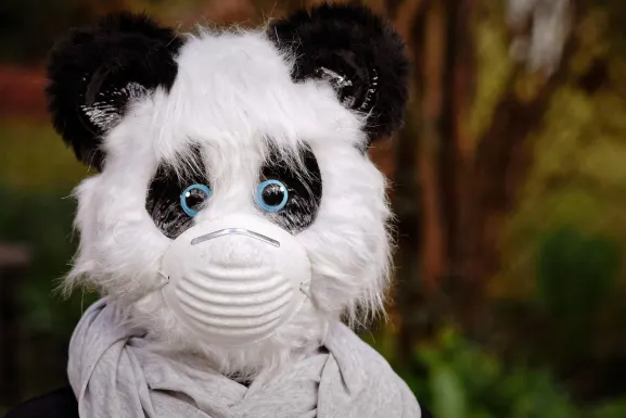 Kasyno Hot Line Wsparcie